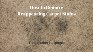reappearing carpet stains